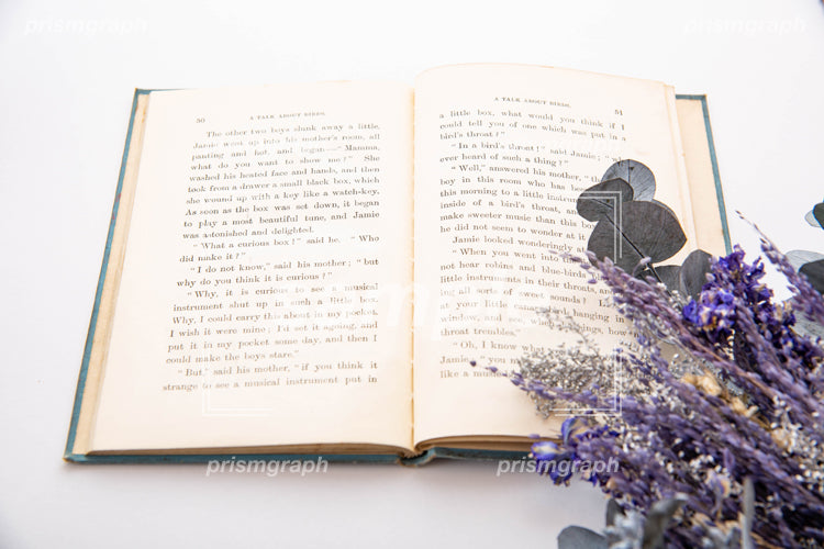 英語の本と紫の花 f0080008