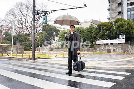 傘をさして横断歩道を渡るビジネスマン a0010601PH
