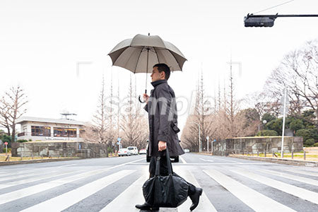 傘をさして横断するビジネスマン a0010602PH