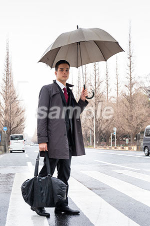 横断歩道を傘をさして渡るビジネスマン a0010604PH