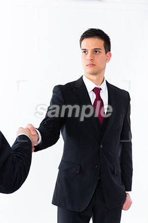 商談で握手をするビジネスマンの男性 a0011270PH
