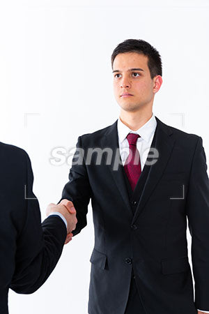 握手するビジネスマン a0011271PH
