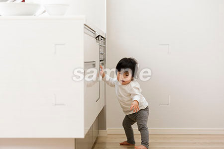 キッチンでつかまり立ちする赤ちゃん a0030099PH