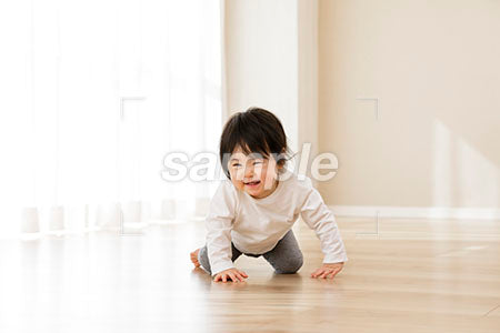 家のフローリングの床ではいはいする赤ちゃん a0030522PH