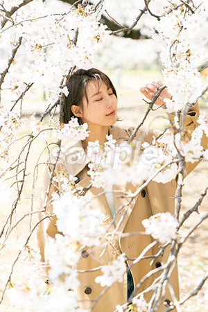 女性が瞼を閉じる桜 a0050019PH