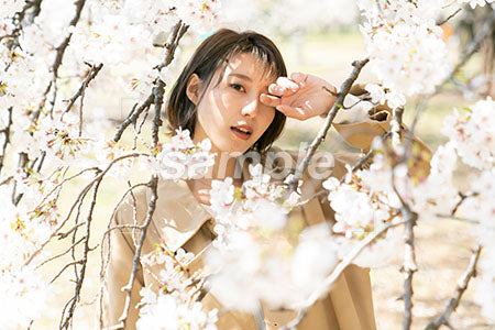 桜と女性が片目を瞑る a0050021PH