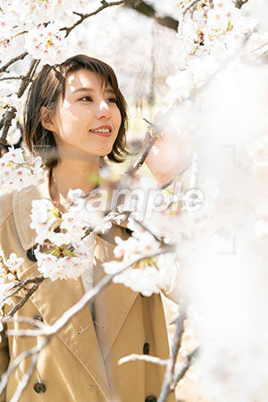 桜と右側を見る女性 a0050032PH