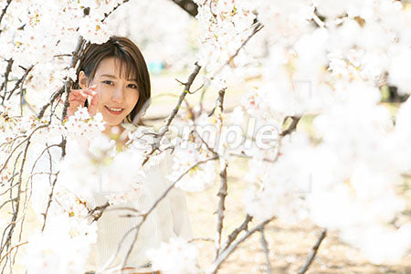 若いお年さんが桜の中で正面を見る a0050034PH