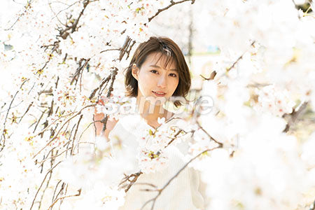 桜と白い服を着た女性 a0050038PH
