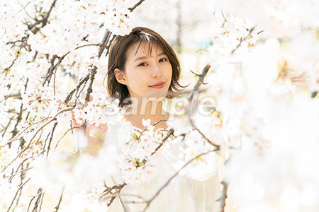 桜と20代の女性が正面を見る a0050040PH