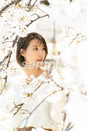 白い桜の中にいる女性 a0050041PH
