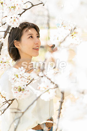 桜と20代の女性 a0050043PH