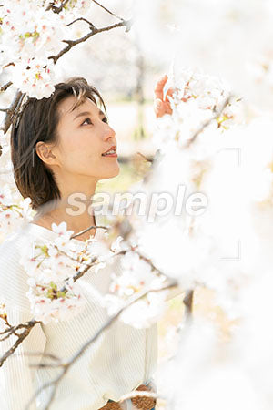 春の桜と女性 a0050044PH