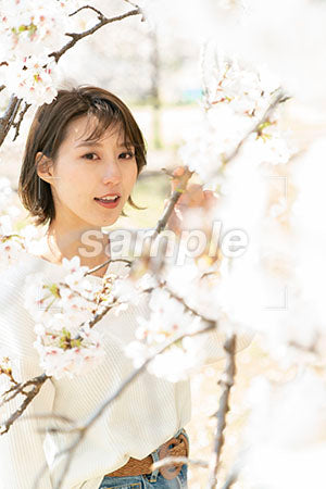桜の枝に触れる女性 a0050045PH