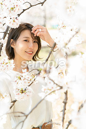 春の桜と女性が左手で髪を触る a0050047PH