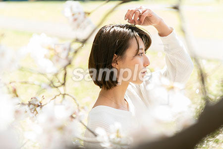 春の桜と女性が手を頭にのせる髪を整える a0050056PH