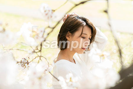 桜と女性が左手で髪をかきあげる a0050057PH
