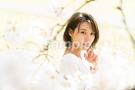 お花見の桜と女性が正面を見る a0050062PH