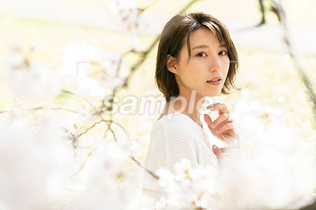 春の白い桜と女性 a0050063PH