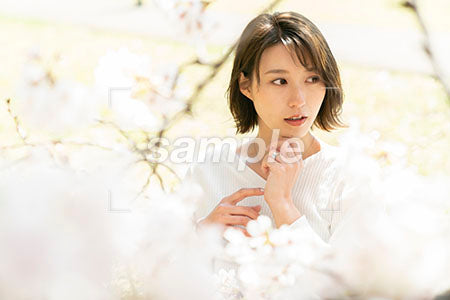 春の桜と女性 a0050065PH