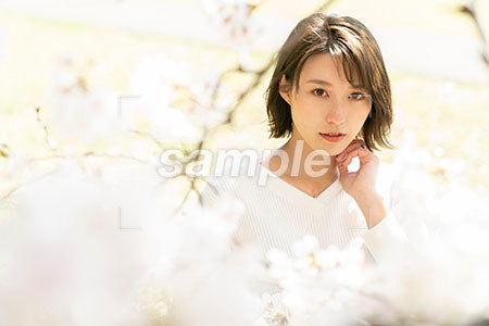 桜と若いボブカットの女の人 a0050066PH
