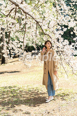 大きな桜の木の下にいる女性 a0050091PH