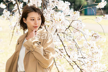 桜が満開の公園と女性 a0050105PH