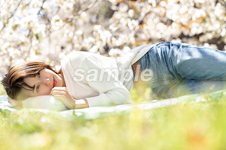 お花見のシートの上で寝る女の子 a0050160PH