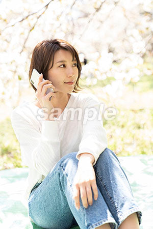桜の下で膝を立ててすわる、右を見る女性 a0050170PH