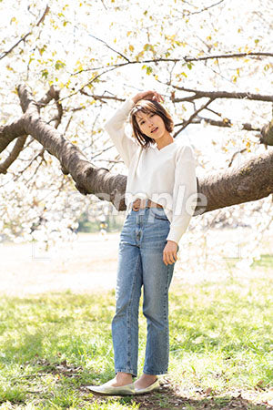 デニムの女性が桜の大きな枝によりかかって立っている a0050214PH