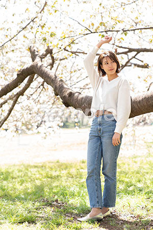 美人の女性が桜の枝の前にたつ a0050215PH