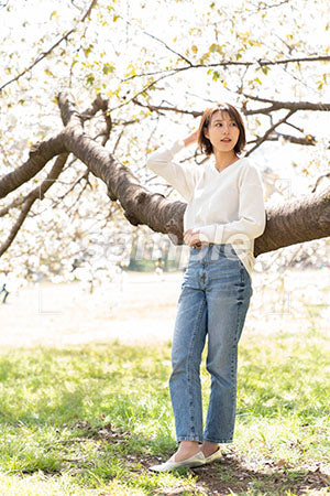 桜の枝によりかかるデニムの女性 a0050216PH