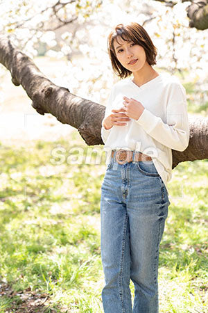 桜の下に立つ女性が正面を見る a0050218PH