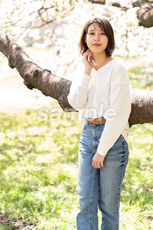 桜の枝の前に立って正面を見る綺麗なお姉さん a0050219PH