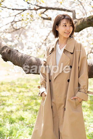 公園でさくらの枝の前に立って右を見る女性 a0050242PH