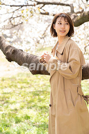桜の下に立つ女性が枝の前に立って右を見る a0050246PH