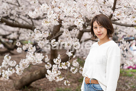 桜の前に立つ白いニットの女性 a0050292PH
