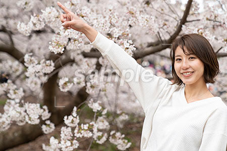 新年度で白いセーターを着た女性が左上を指さすジェスチャー a0050293PH