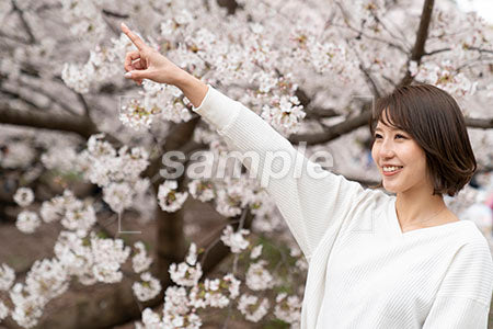 桜の前で斜め上を指さす女性 a0050297PH