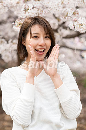 桜の前で口に手を当てて叫ぶ笑顔の女性 a0050313PH
