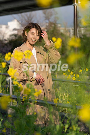 春の季節。菜の花越しの女性 正面を見る a0050586PH