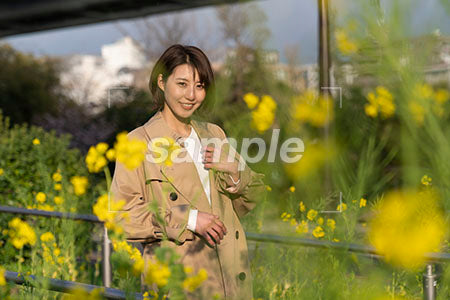 春の季節。菜の花越しの女性 正面を見る a0050589PH