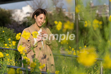 春の季節。菜の花越しの女性 正面を見る a0050592PH