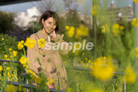 菜の花越しの茶色いコートを女性 正面を見る a0050593PH