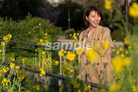 春の菜の花越しのコートを着た女性 右を見る a0050603PH