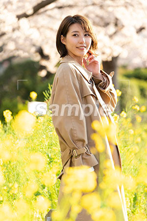 菜の花畑とスプリングコートを着た女性 左を見る a0050607PH