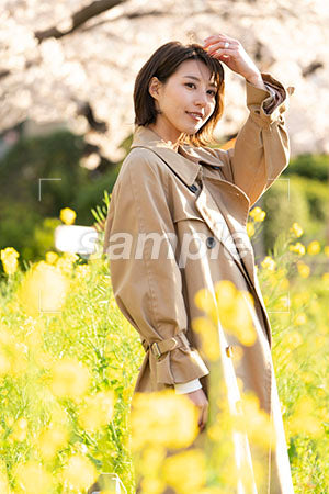 黄色い花ばたけに立つコートの女性 a0050610PH