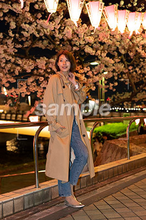 春の茶色いスプリングコートの夜桜と女性 左を見る a0050740PH