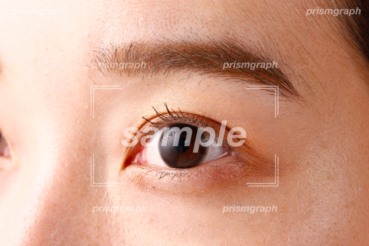 女の人の目と眉毛をアップで撮影した ah0080074