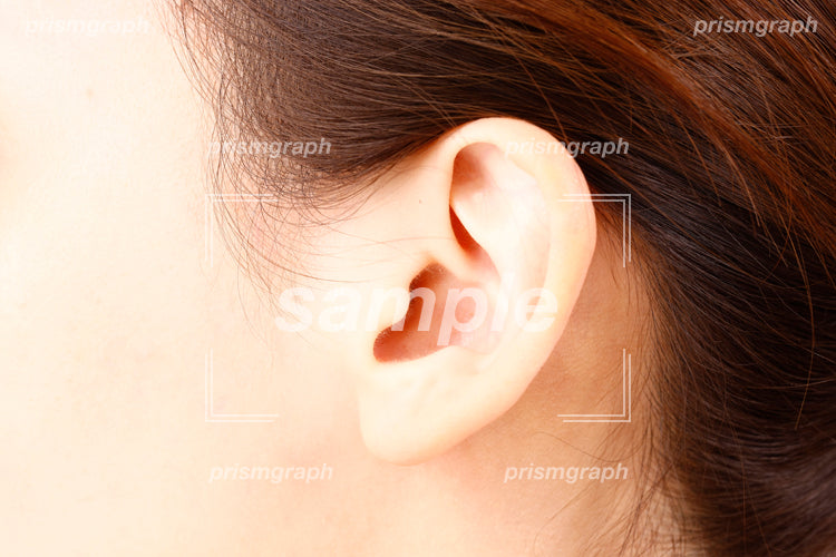 女性の耳のアップ aq0090108